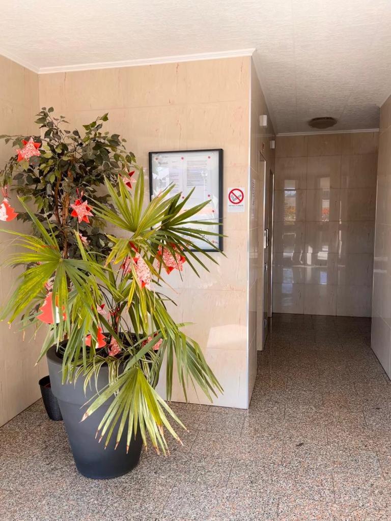 Apartament Coco *